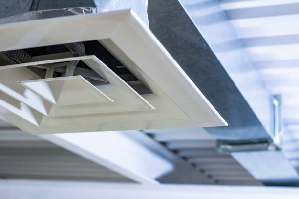 Best Air Duct Sanitizing Services  in Covington, GA