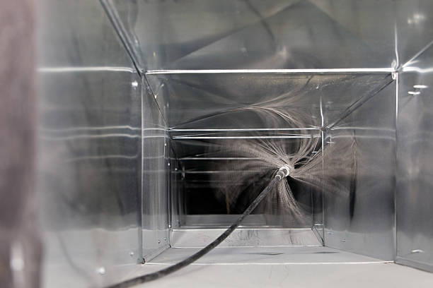 Best Air Duct Mold Removal  in Covington, GA