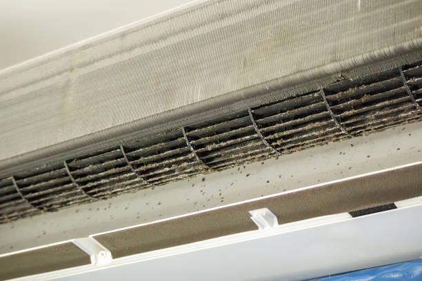 Best Professional Duct Cleaning Services  in Covington, GA